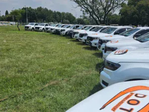 Line up of Dot Towing fleet of pick-up trucks on grass